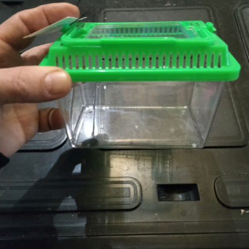 Caixa para Animais Pequenos com Tampa Verde Ventilada
